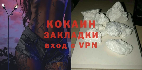 дживик Гатчина