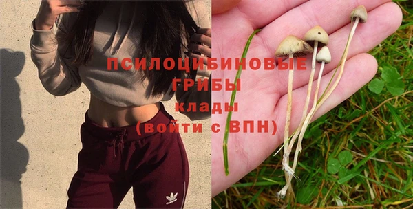 метадон Аркадак