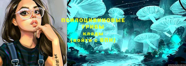 а пвп мука Армянск