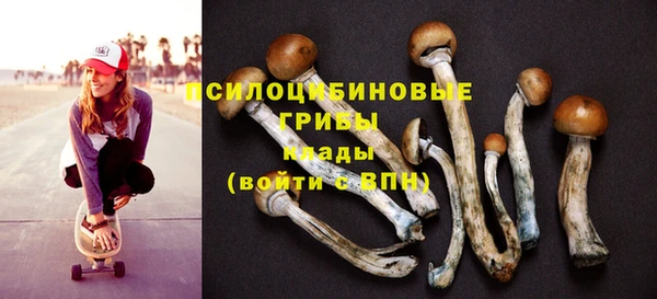 метадон Аркадак