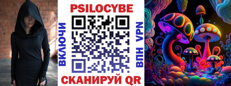 Псилоцибиновые грибы Cubensis  Ельня 